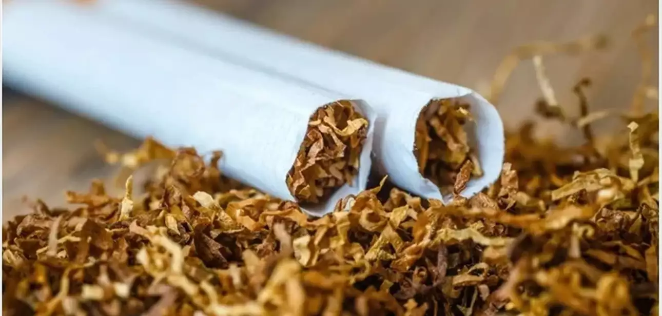 what is the difference between tobacco and nicotine