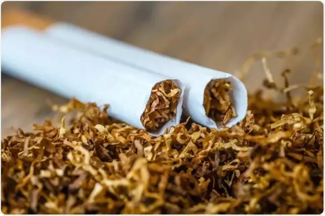 what is the difference between tobacco and nicotine